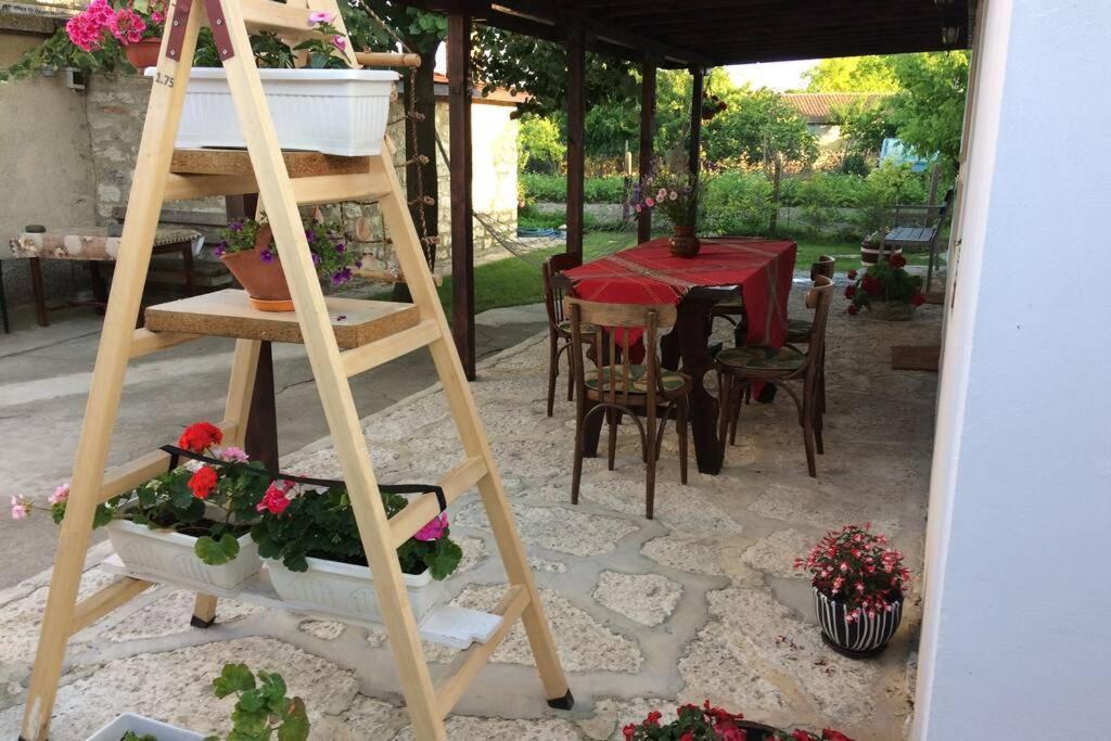 Guest House Kostadinovi Balgarevo Bagian luar foto