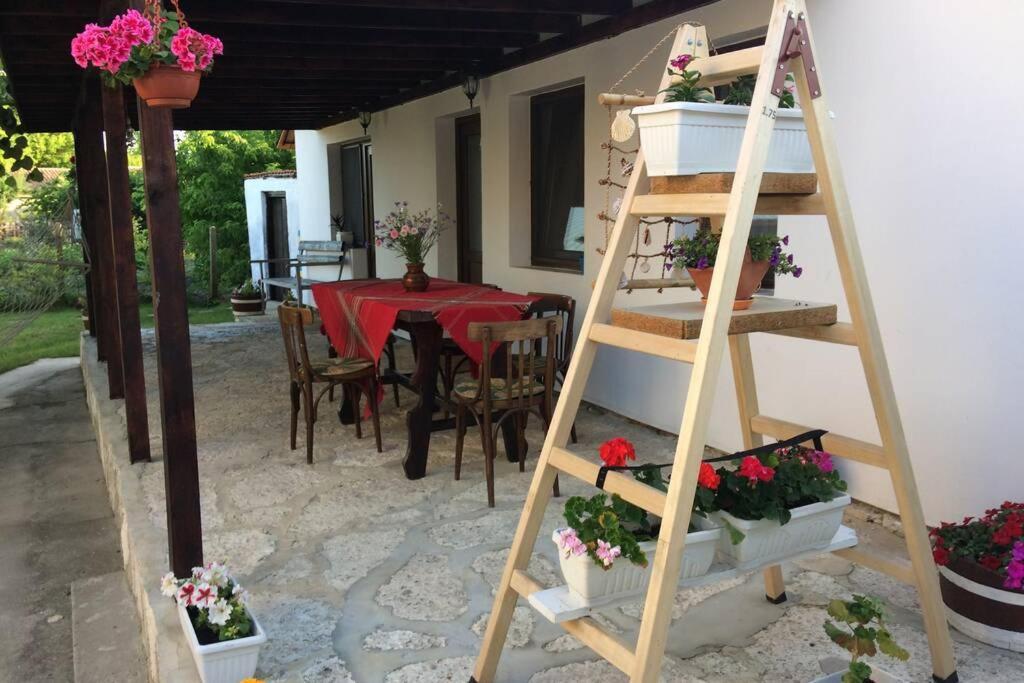 Guest House Kostadinovi Balgarevo Bagian luar foto